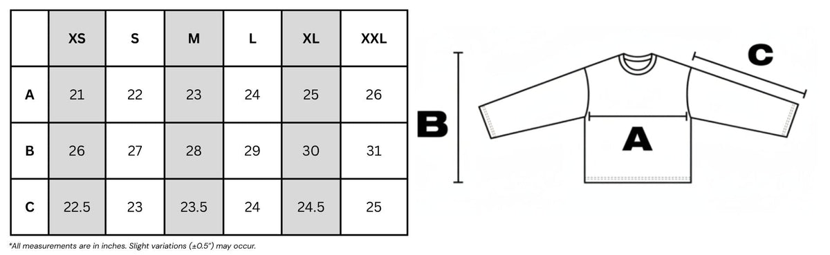 Common Era longsleeve size chart with measurements and a diagram of a longsleeve shirt.